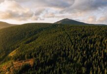 Izrada i predstavljanje Nacrta proglašenja Parka prirode Laznica, Homolje