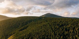 Izrada i predstavljanje Nacrta proglašenja Parka prirode Laznica, Homolje