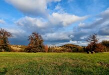 Agelast Podcast 156: Svetlana Bojković, Sreten Đorđević, Ratko Ristić o pokusaju unistavanja prirode u Laznici i Loznici. {Dundee i Rio Tinto}