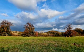 Agelast Podcast 156: Svetlana Bojković, Sreten Đorđević, Ratko Ristić o pokusaju unistavanja prirode u Laznici i Loznici. {Dundee i Rio Tinto}