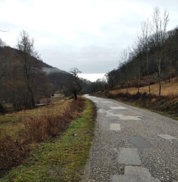 Peticija za Rekonstrukciju Puta Laznica – Majdanpek