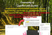 GUBITAK OD 35 % ŠUMSKOG POKRIVAČA U ŽAGUBICI