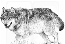 Lista ugroženih životinjskih i biljnih vrsta koje mogu nestati otvaranjem rudnika