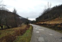 Peticija za Rekonstrukciju Puta Laznica – Majdanpek